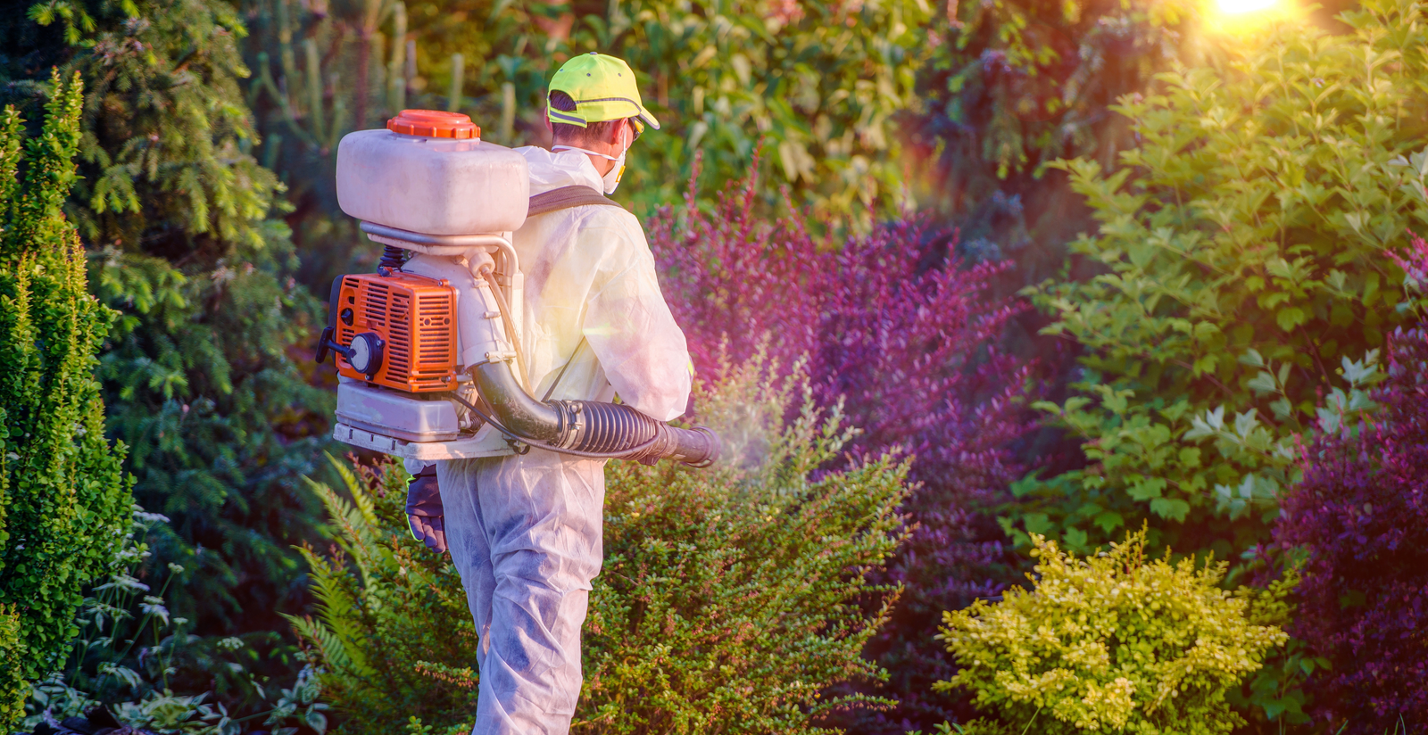 Commercial Pest Control