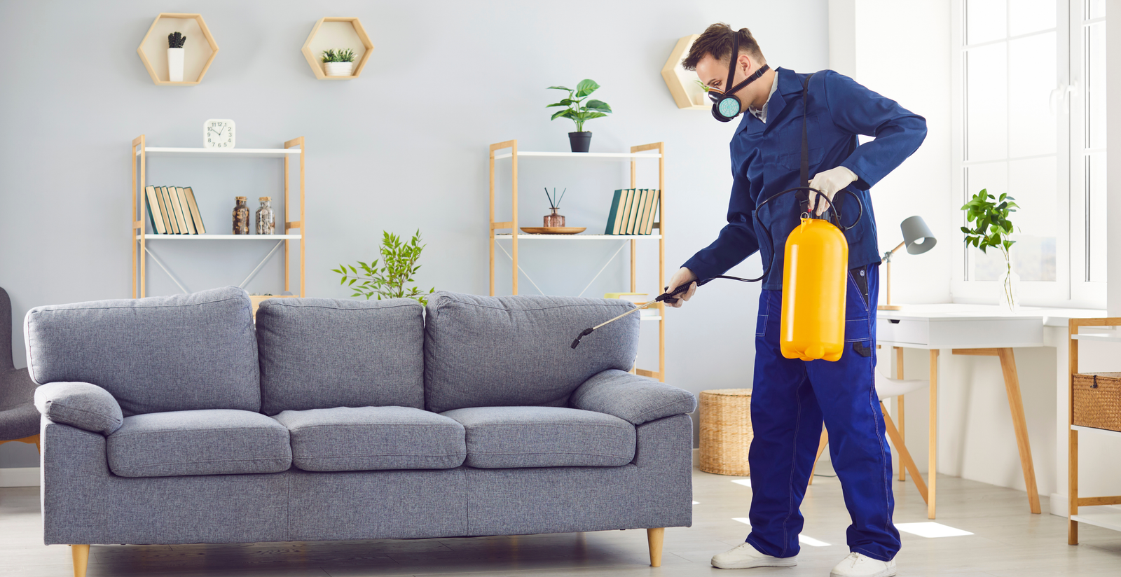 Residential Pest Control